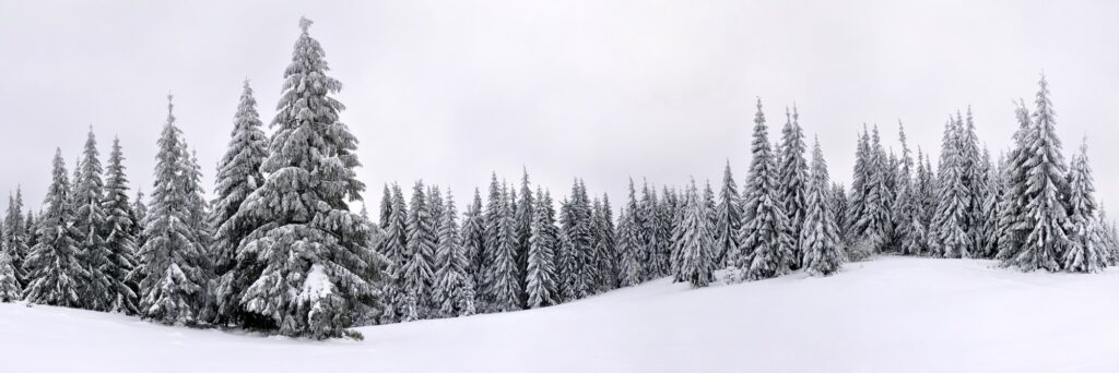 Panoramic photo of a winter landscape
