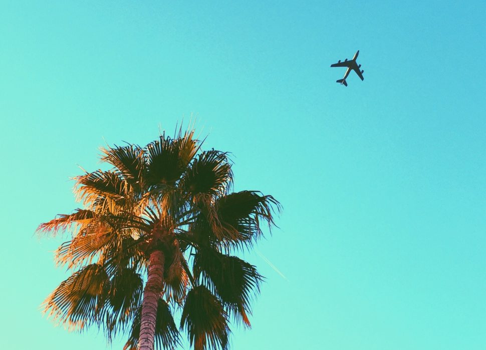Solo airplane taking off into the sky with a palm tree